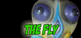 Tomland Fly