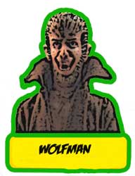Lincoln Wolfman